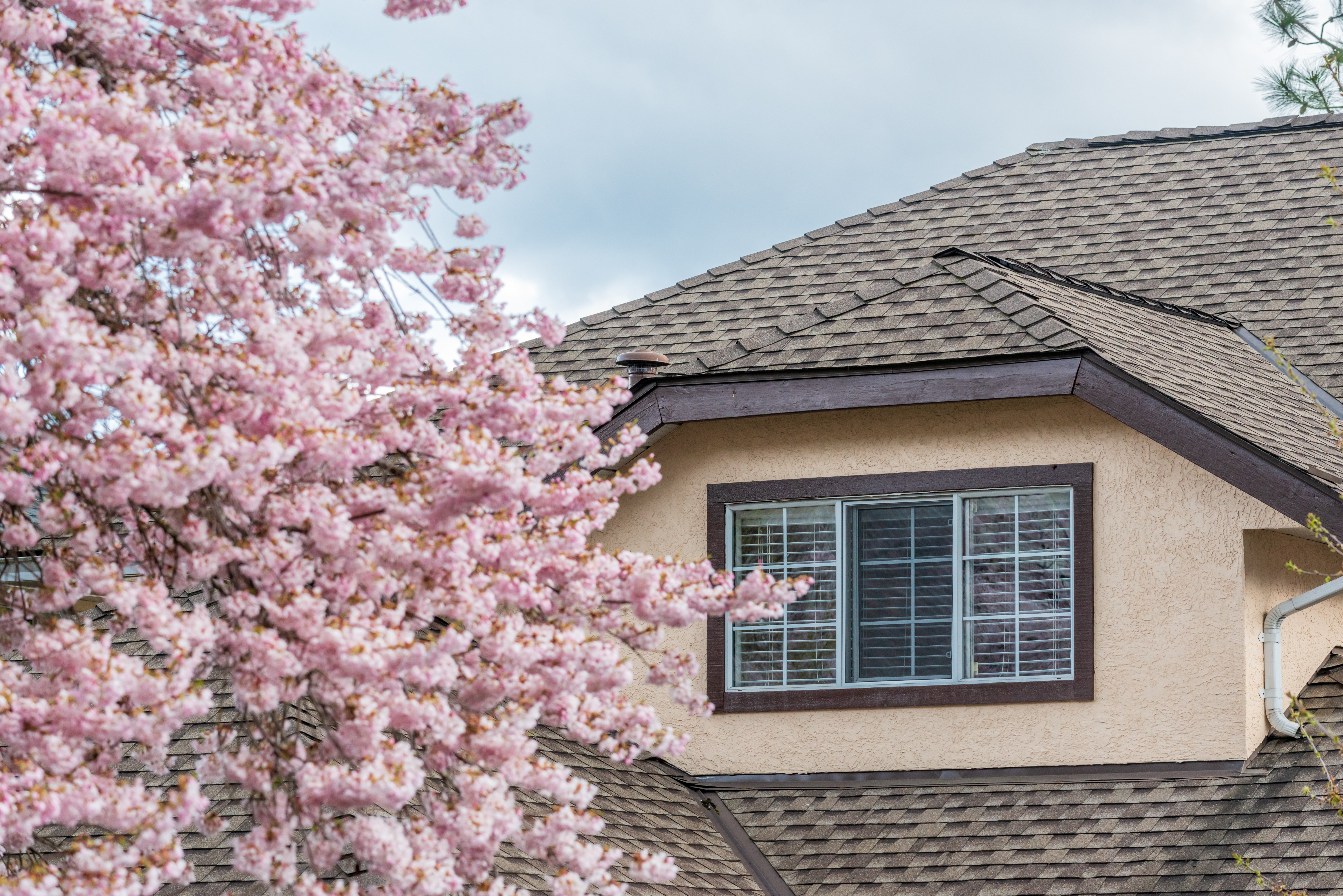 Beautiful building with premium roofing